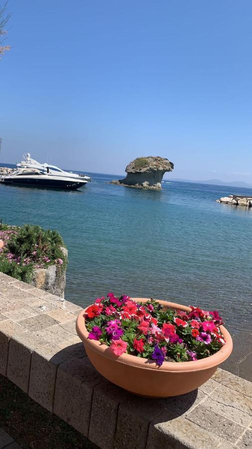 villa martina suite apartament Lacco Ameno  Esterno foto