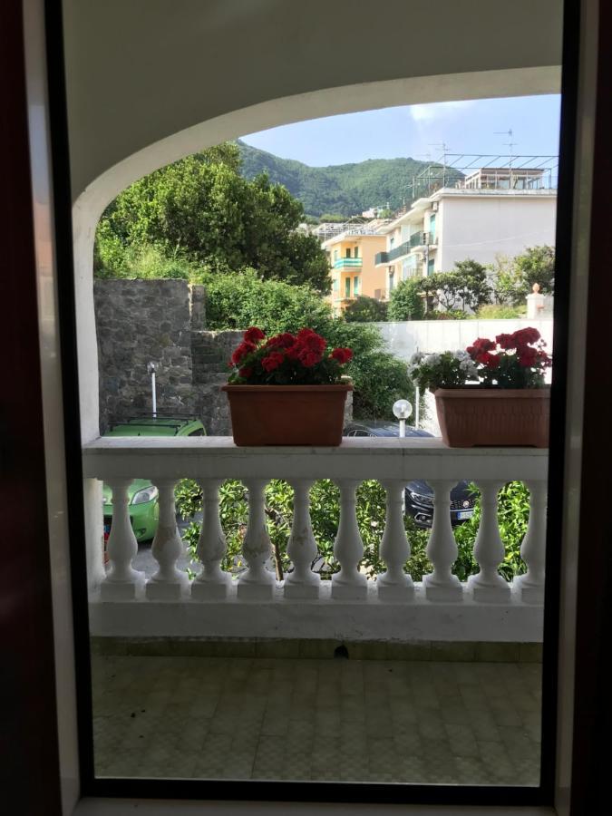 villa martina suite apartament Lacco Ameno  Esterno foto
