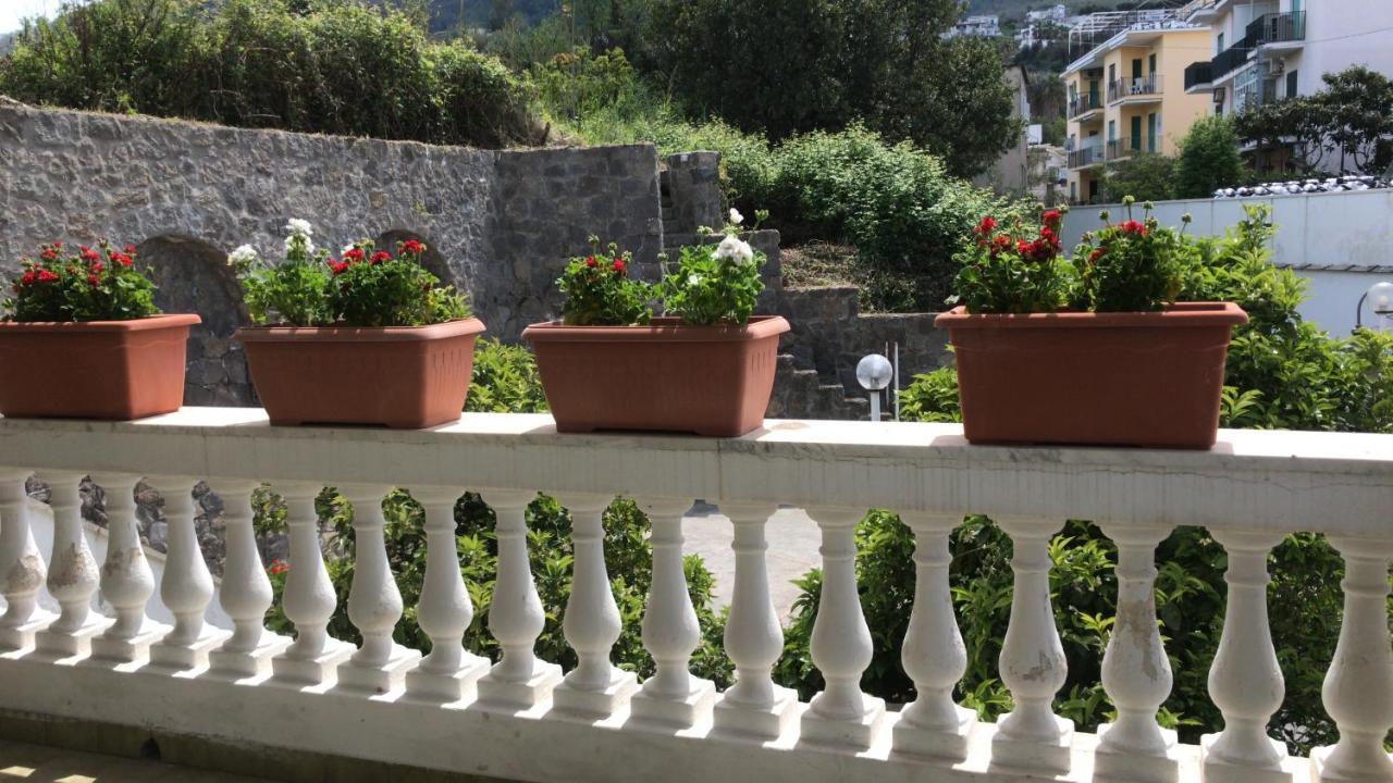 villa martina suite apartament Lacco Ameno  Esterno foto